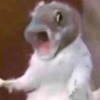 captain