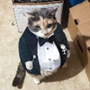 captain