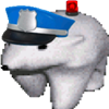 captain